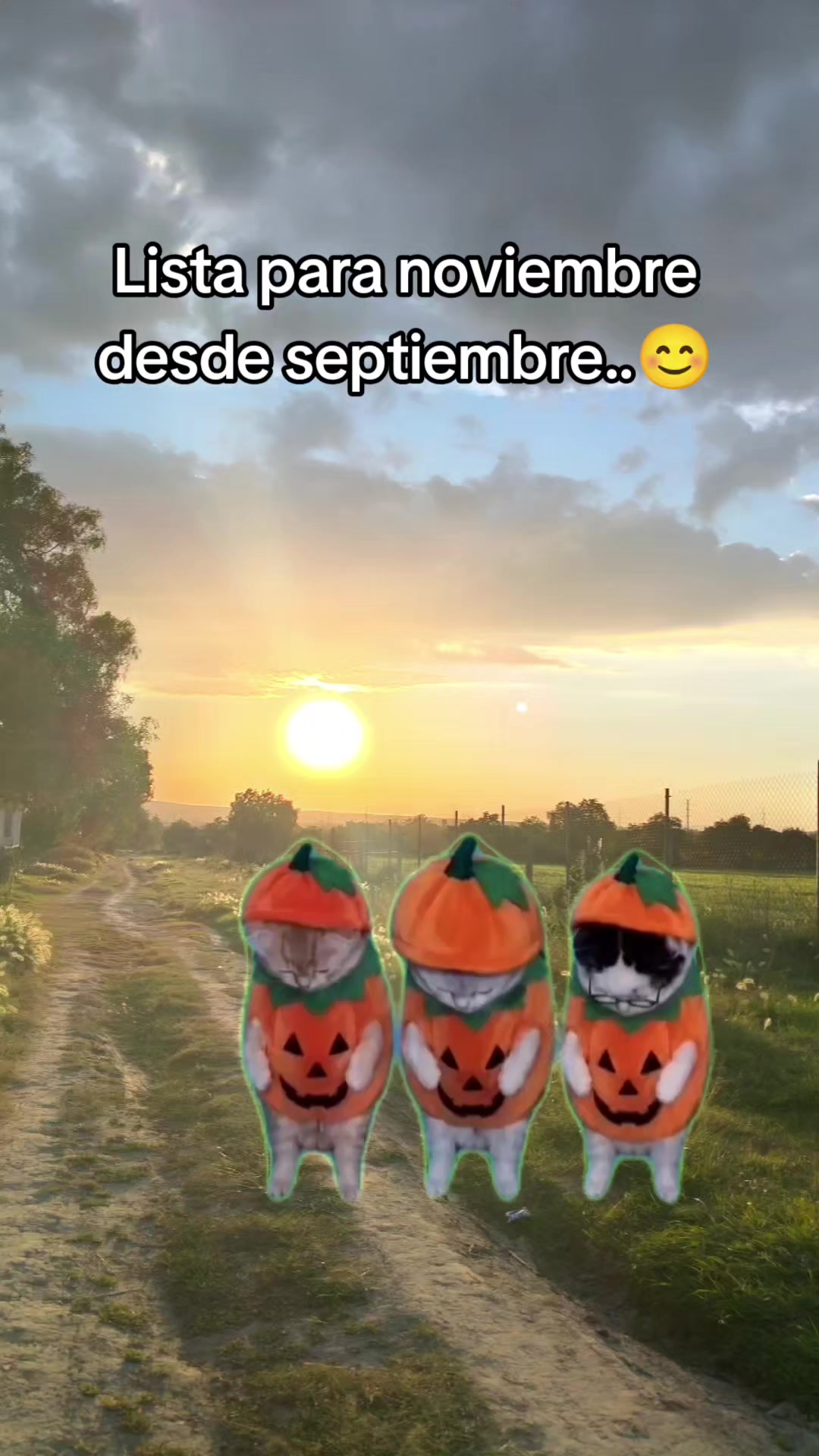 @Susanita