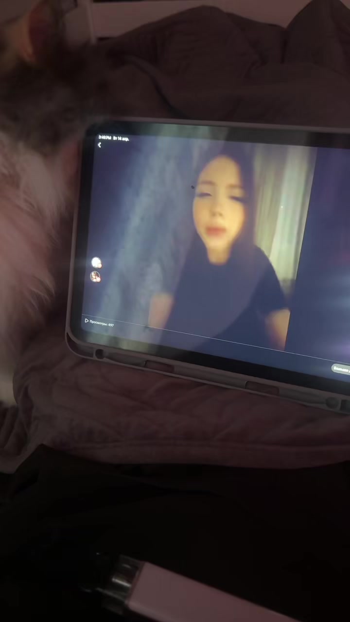 @vikykrr