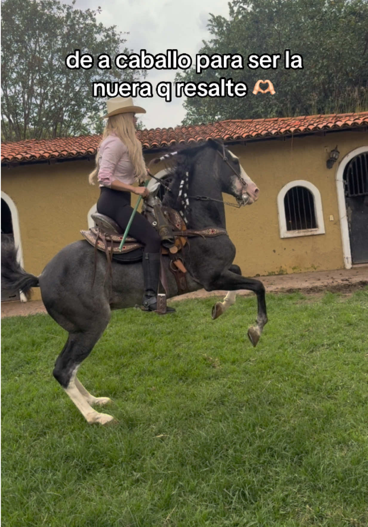 @PMGA