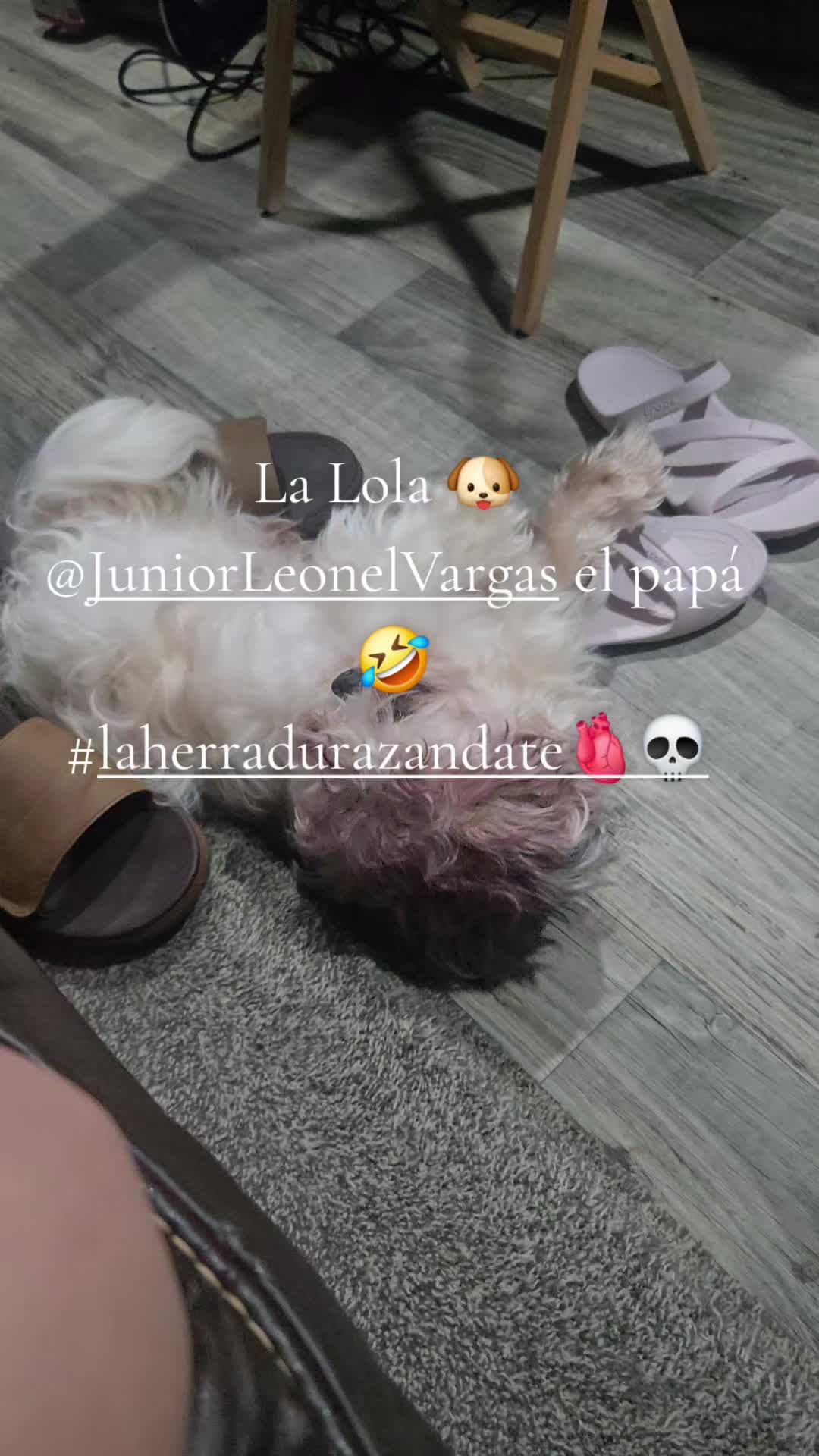 @🦦LillyLandin🤭🤓💐