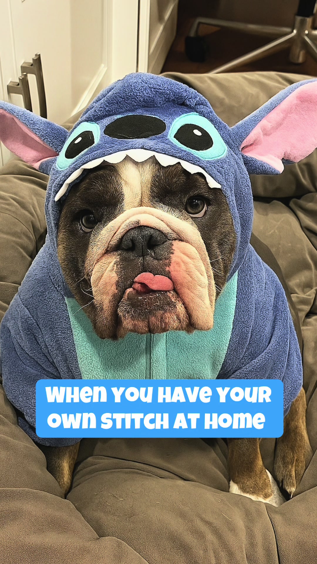 @ChubbynBella