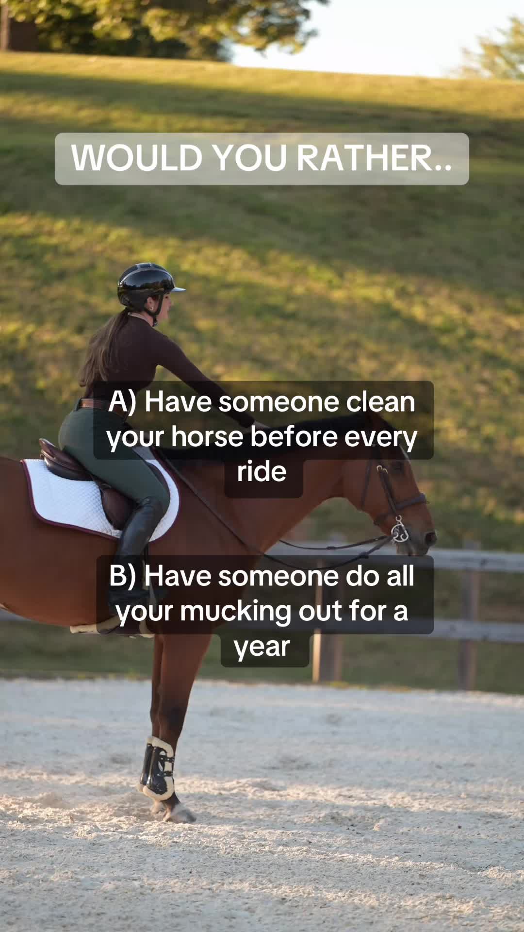 @Free Ride Equestrian
