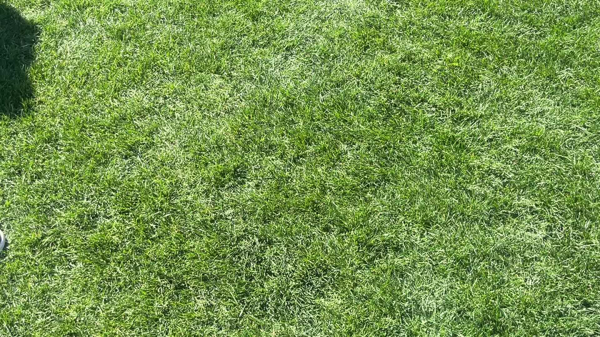 @⚽️.