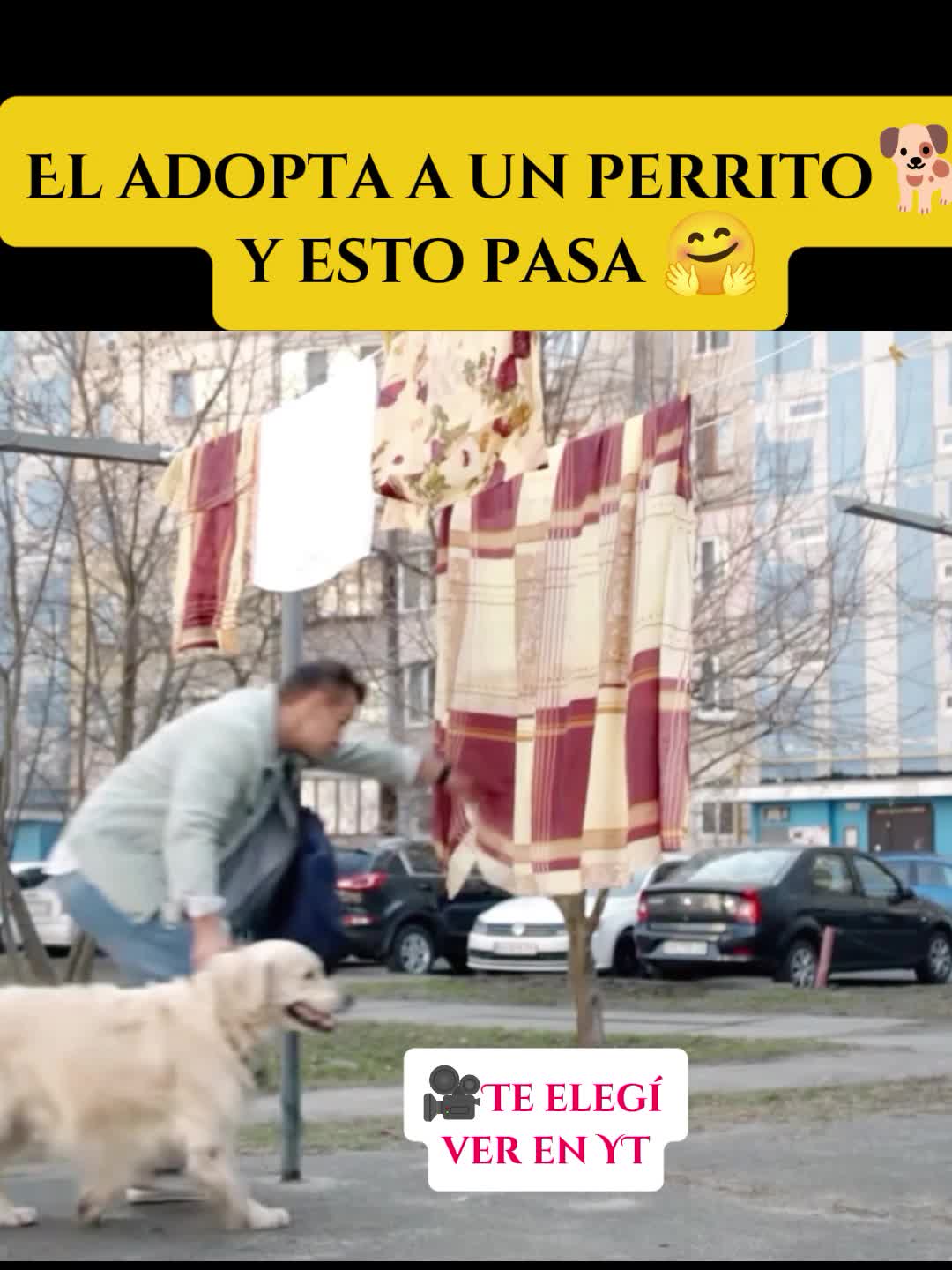 @Veamos una Peli