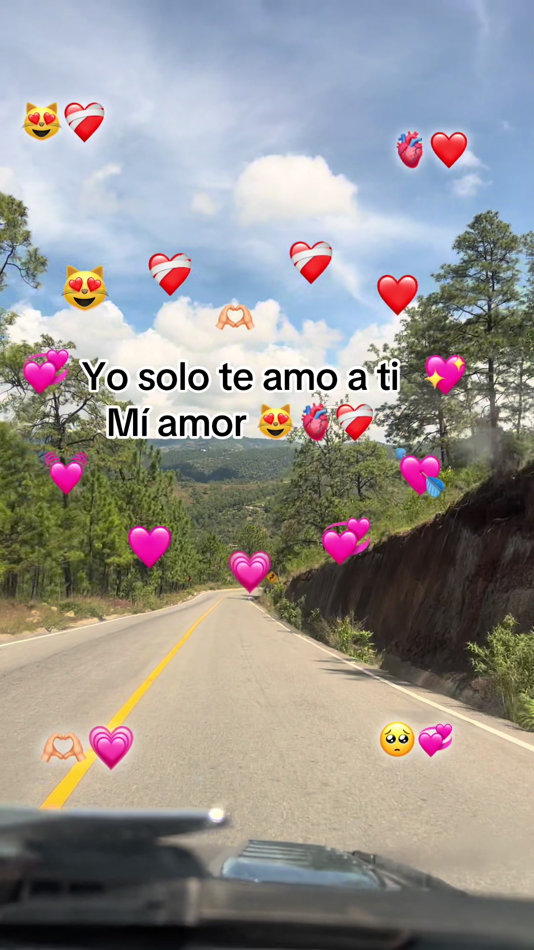 @🧃fracesgtjr🧃