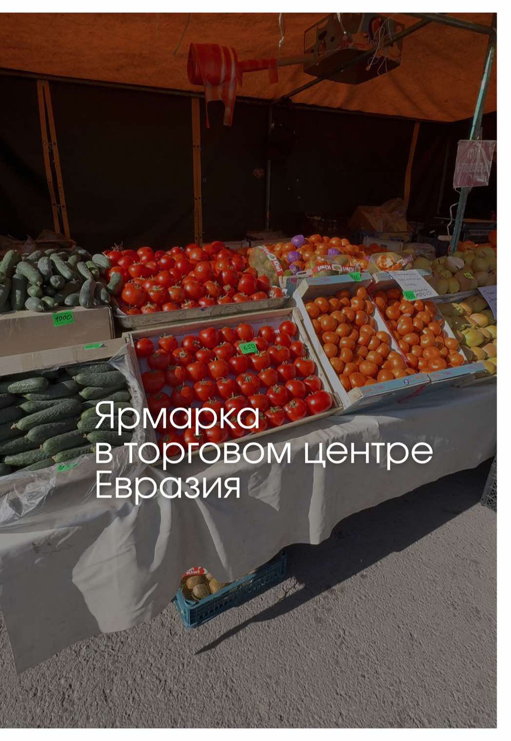 @togzhan_kamzebayeva