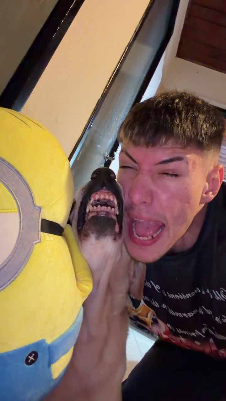 @RABIOSOO 🐶