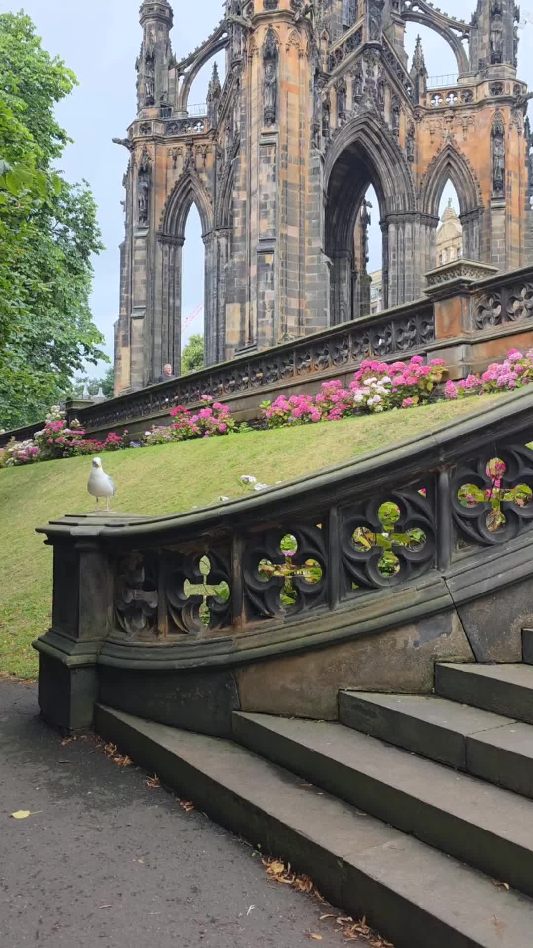 @scotland_vibs