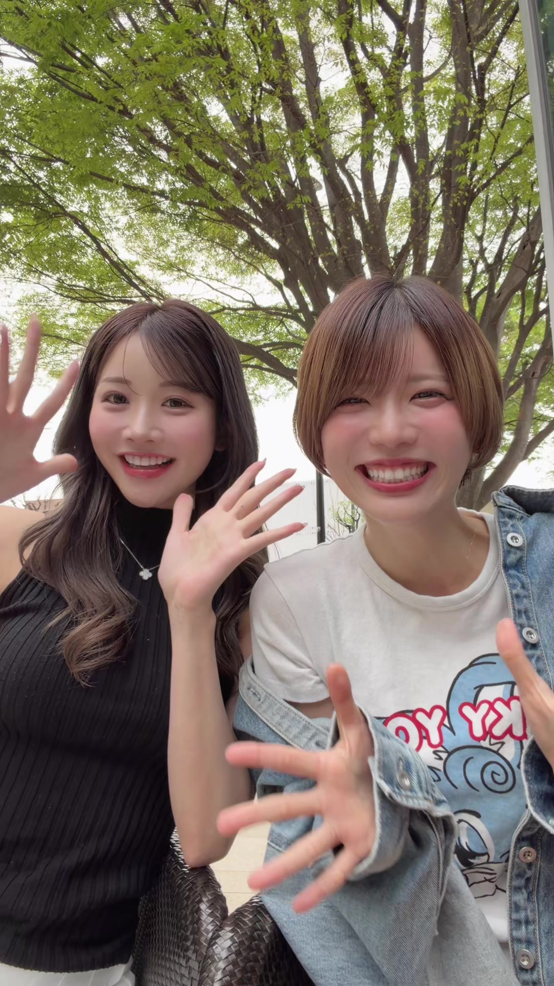 @na0912mii
