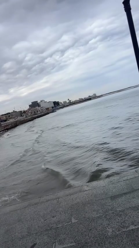 @🧚🏻♀️ ﮼تشاينا🧚🏻♀️