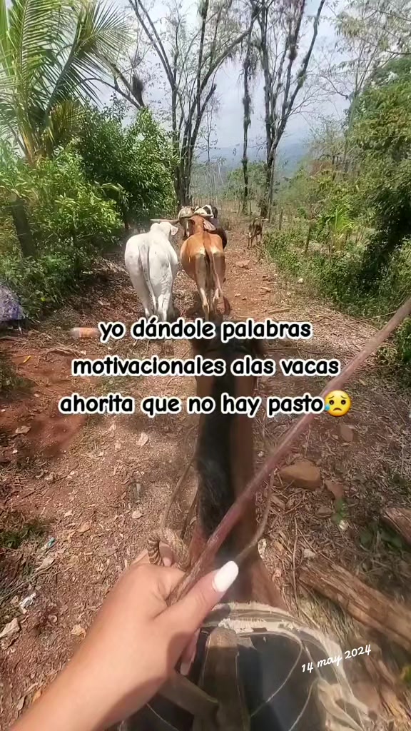 @Guzmán🍀