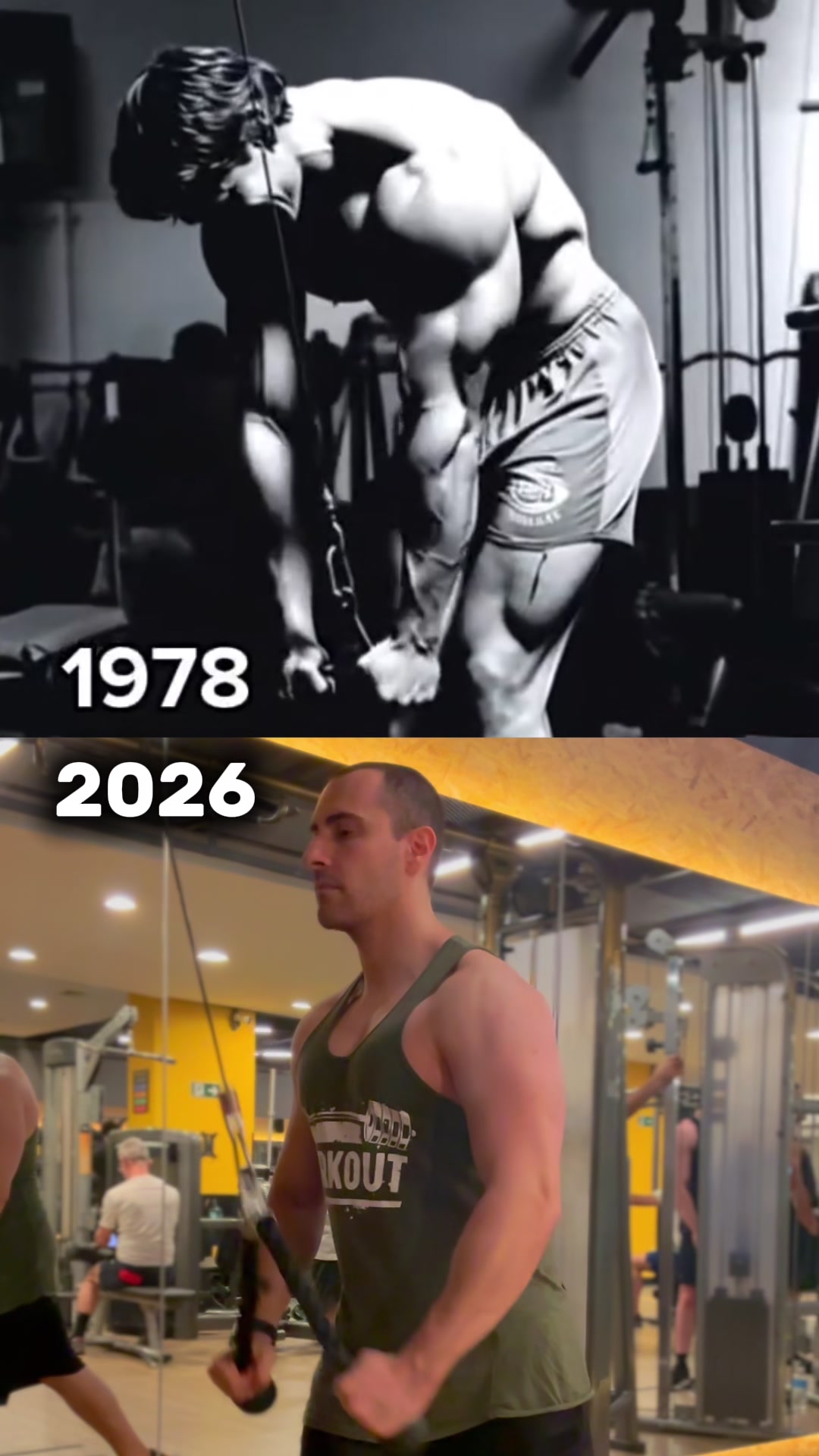@Rodrigo / DEFINIÇÃO MUSCULAR