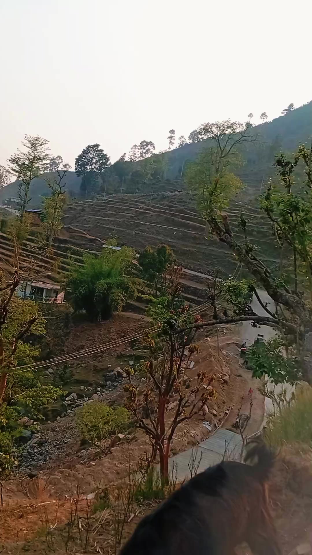 @टाेप बहादुर बुढा क्षेत्री🇳🇵