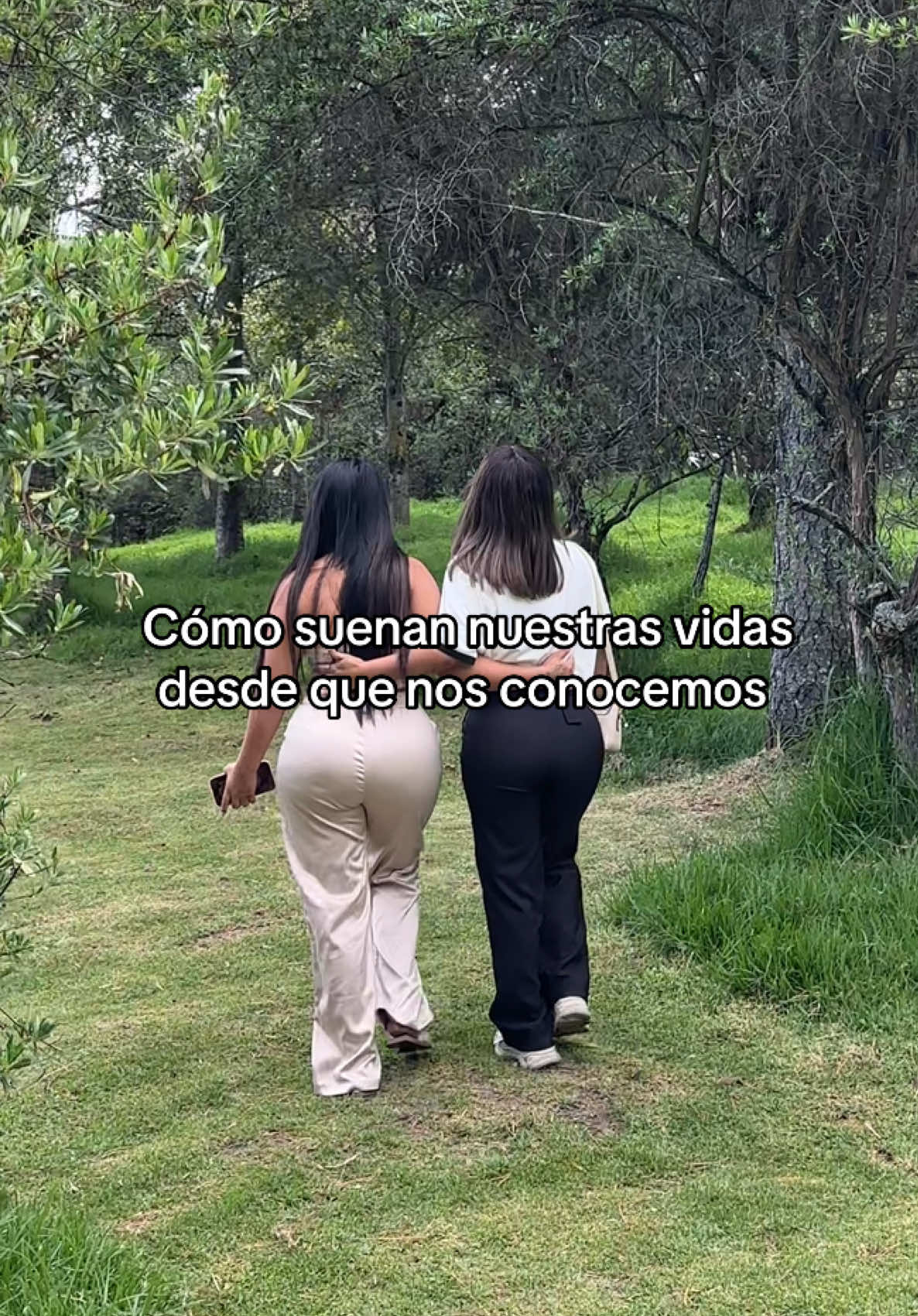 @DOMENICA VELOZ