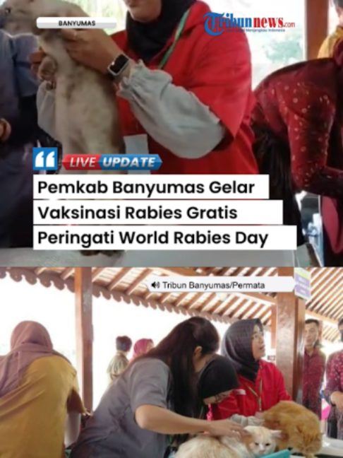@Tribunnews