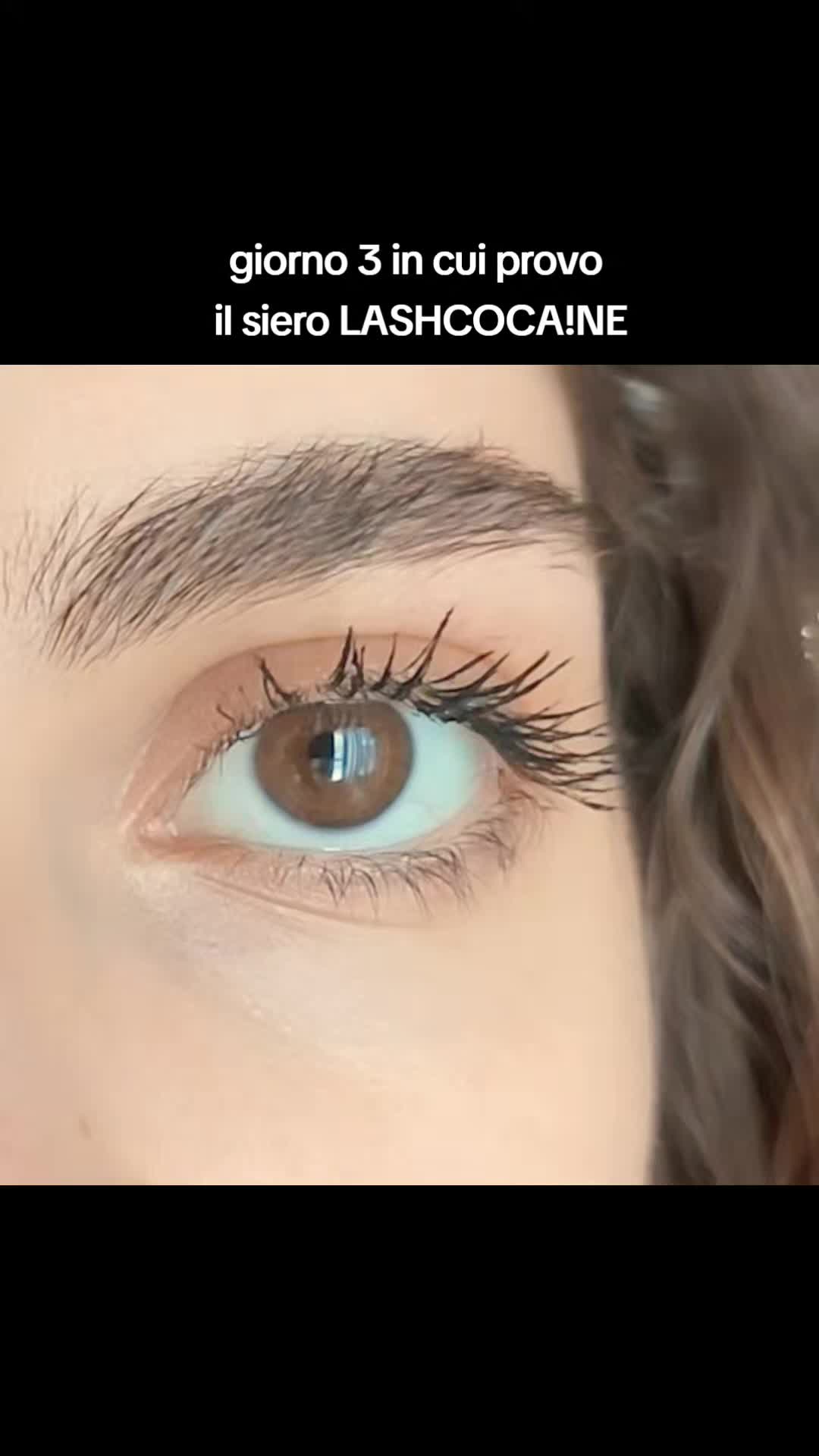 @elisa ͙⋆