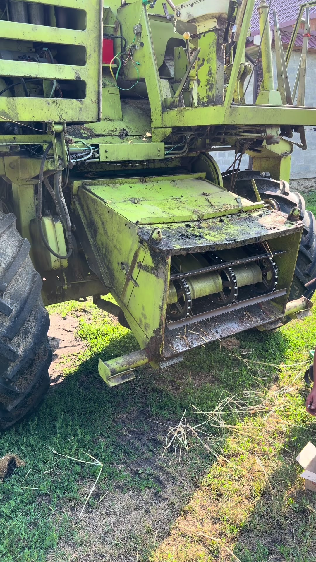 @🌾Diagri1996🌾