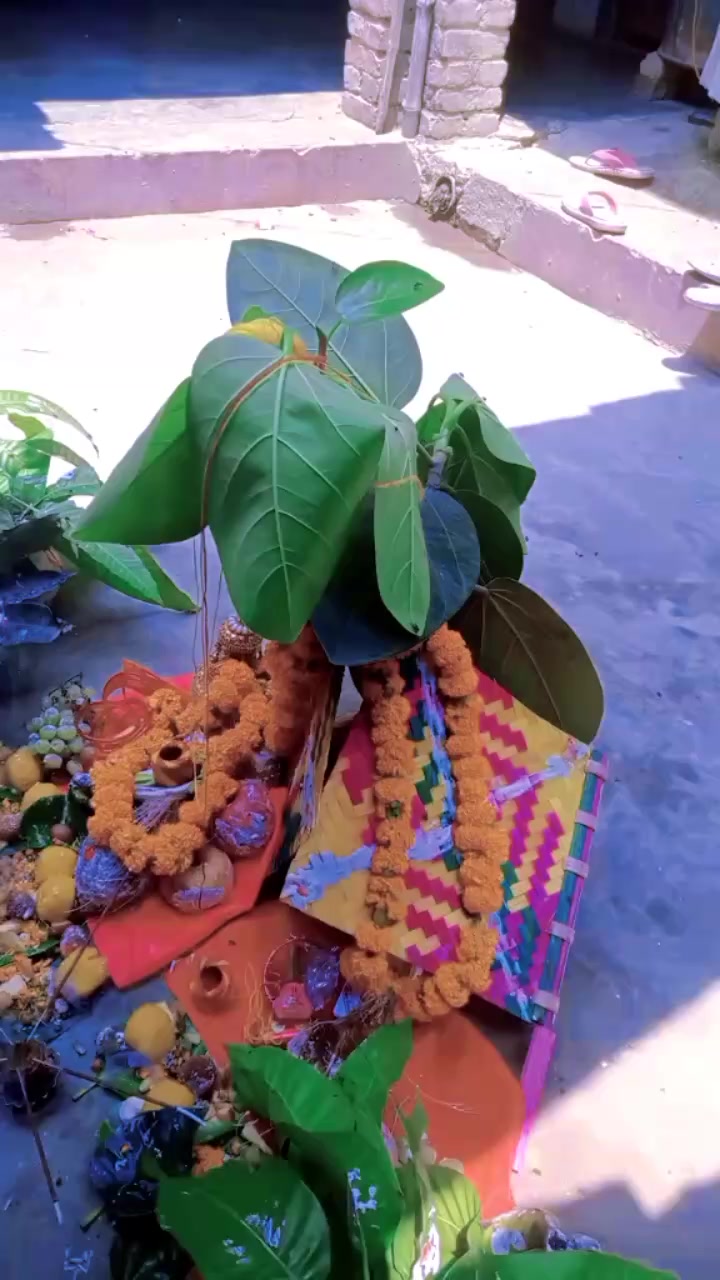 @Anu Yadav