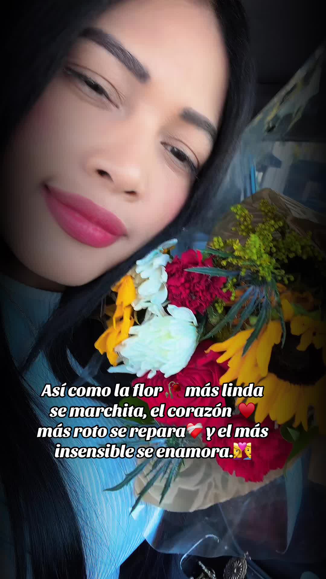 @francis🐼