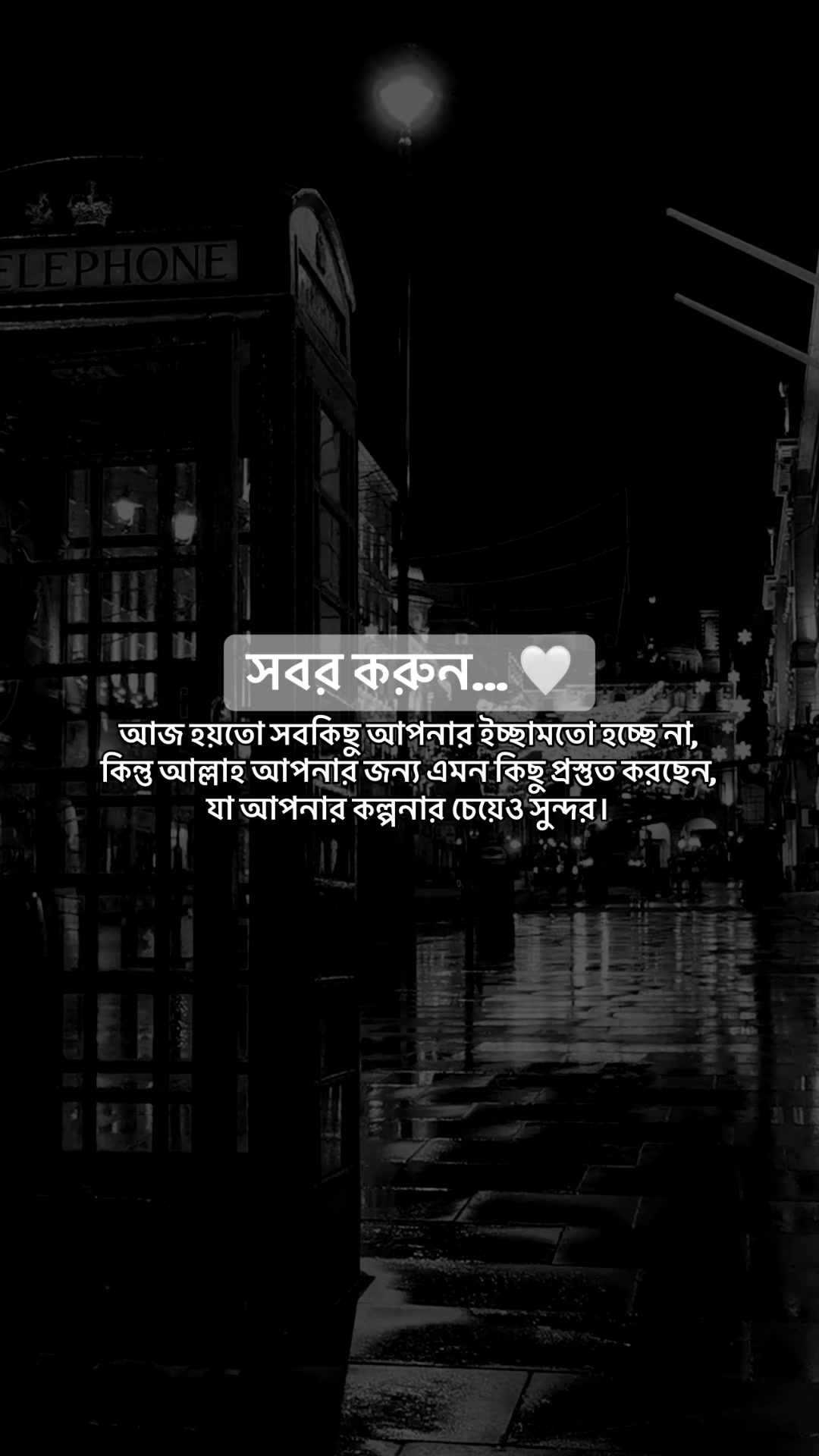 @Rayhan