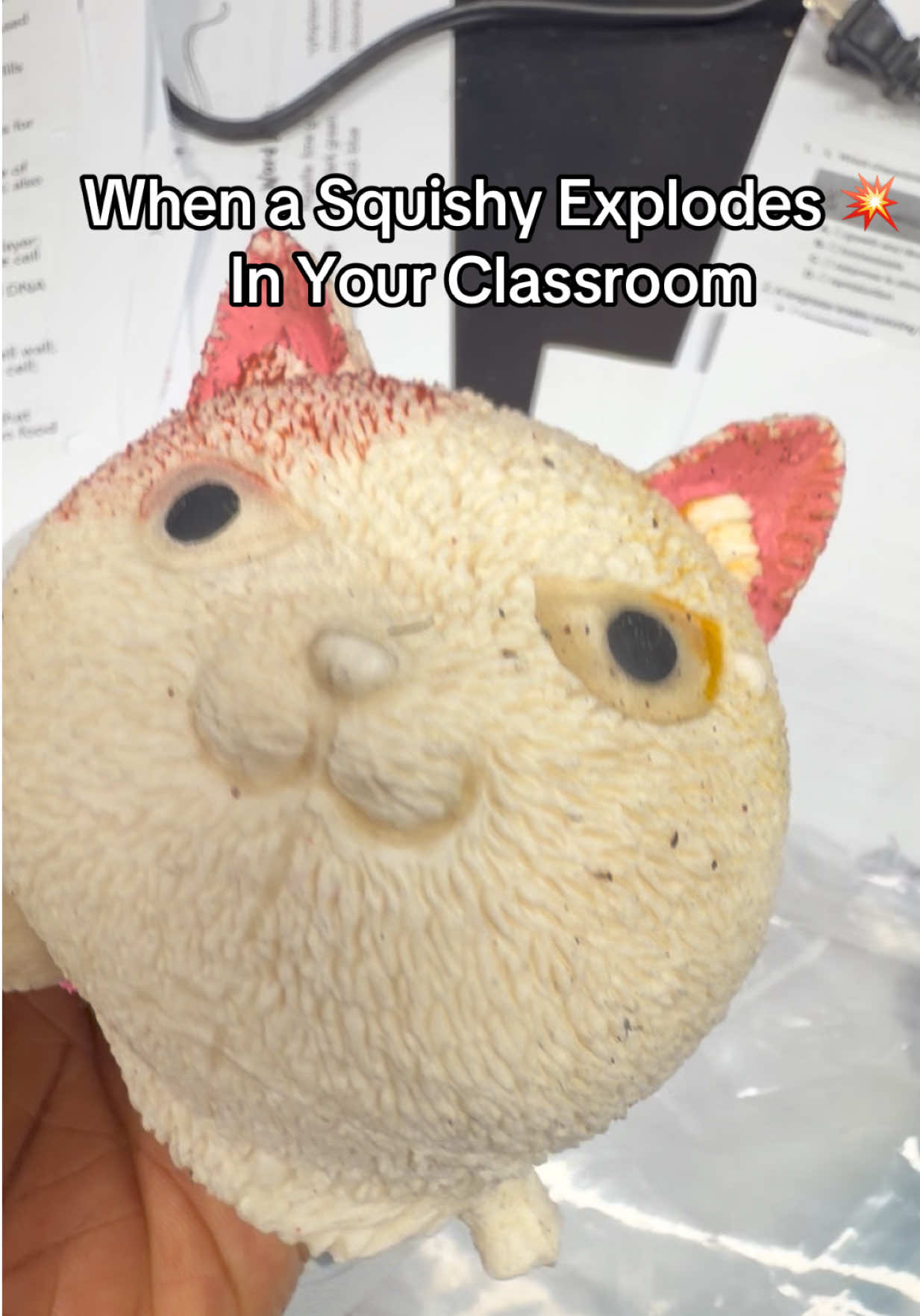 @Mrs Walker