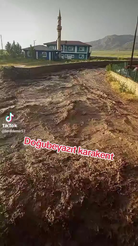 @bazidli adem04