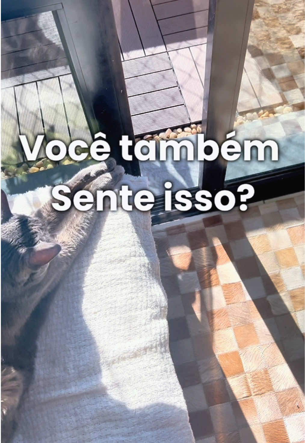 @Eubelafranco