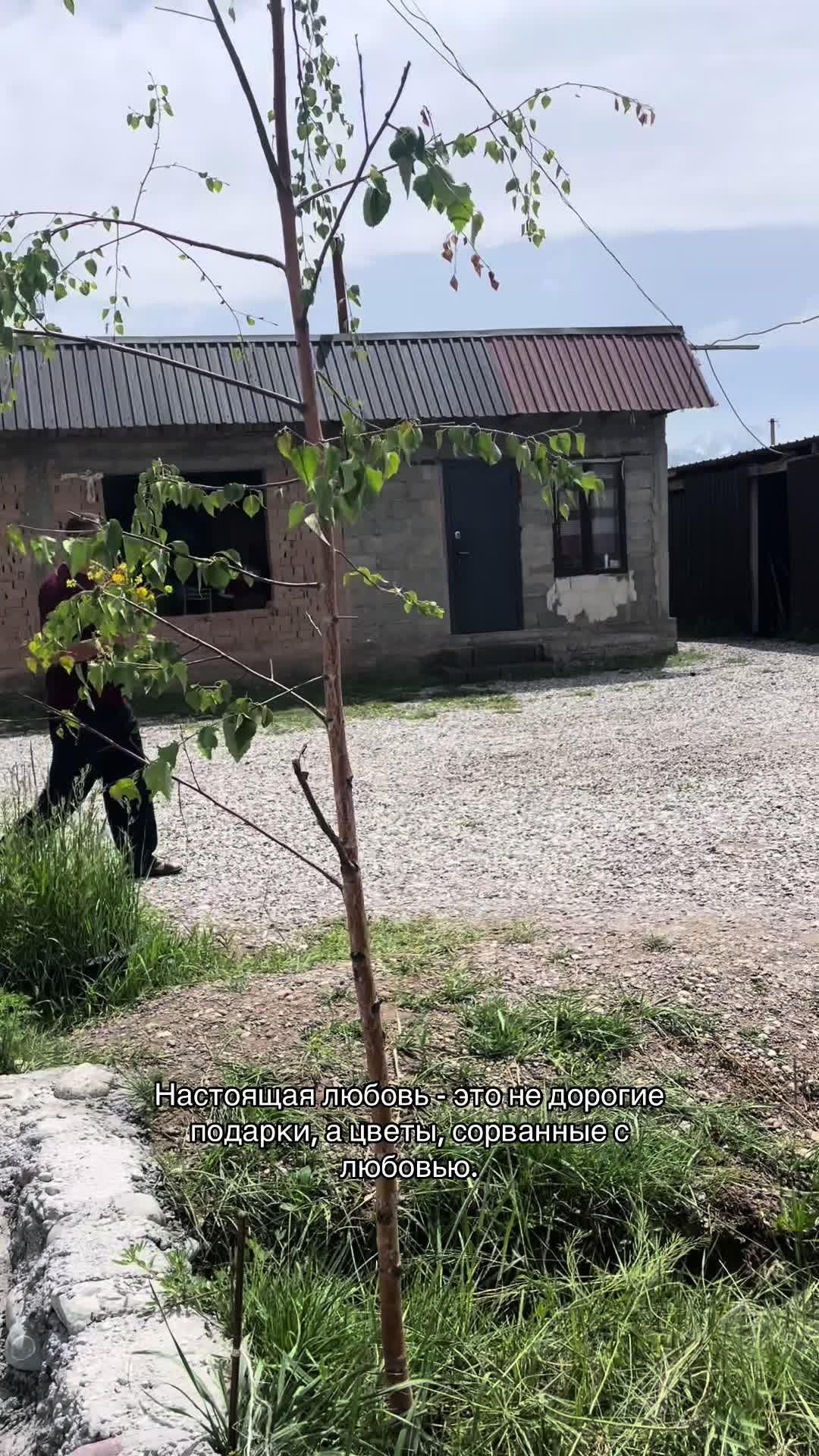 @altynbekovaa