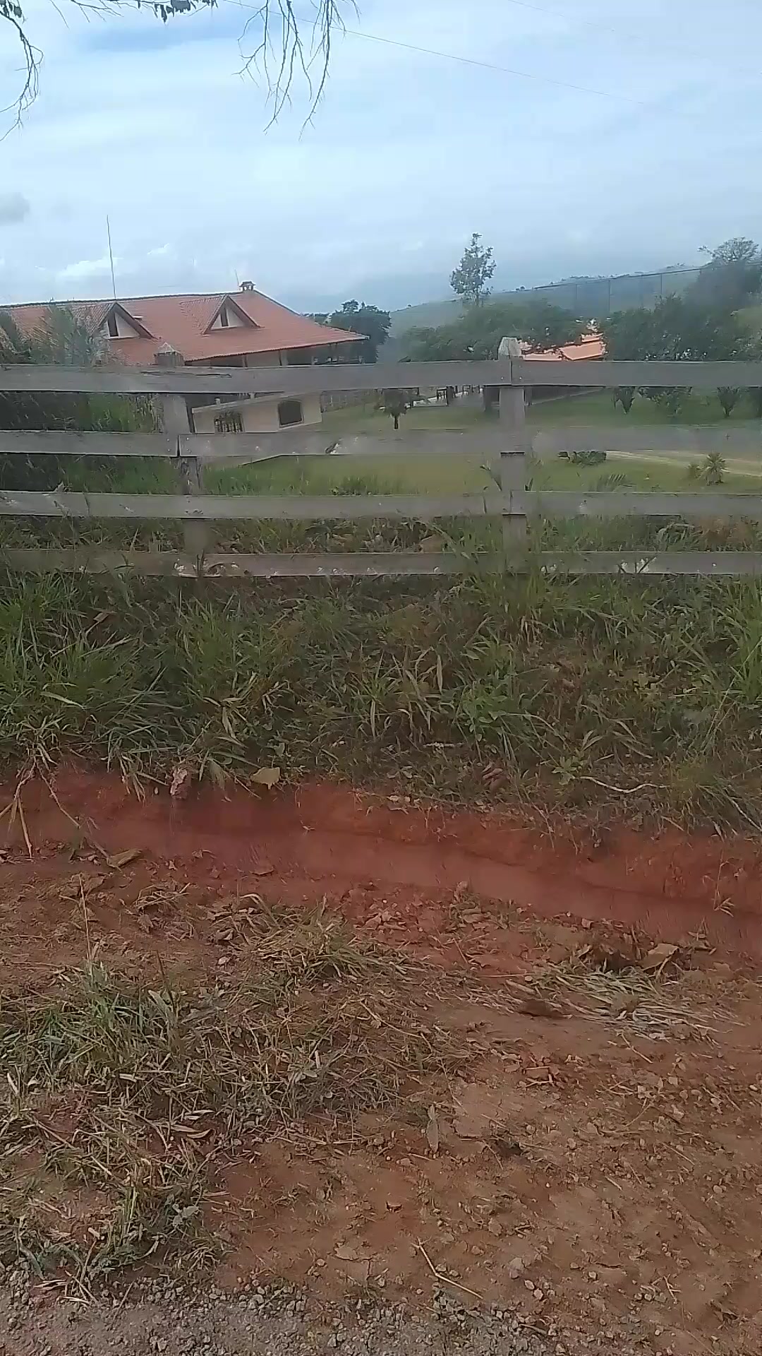 @Fernando mineirinho