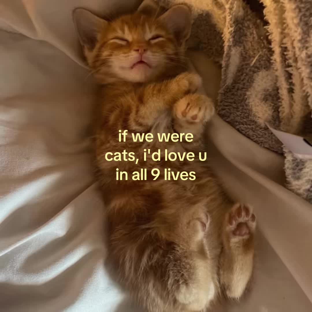 @motionsoflove