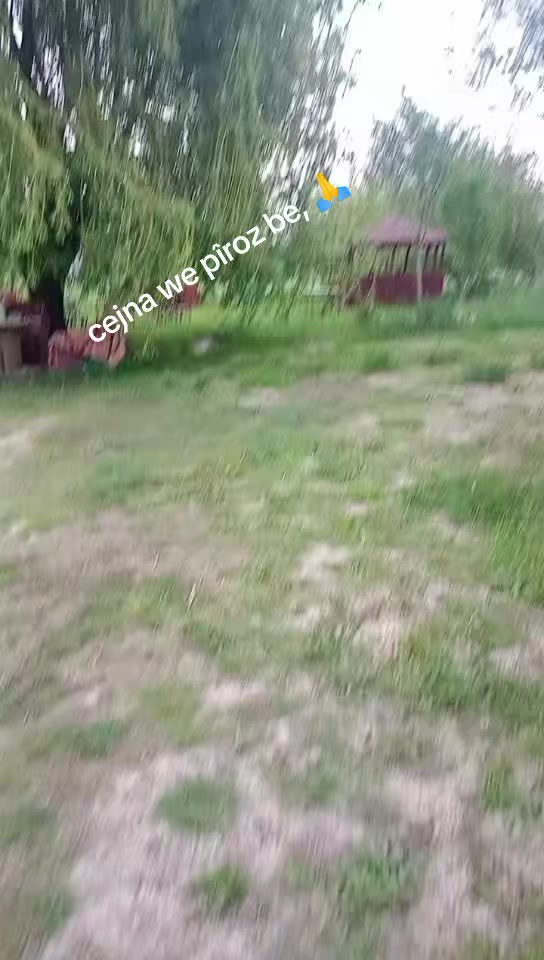 @dılemın