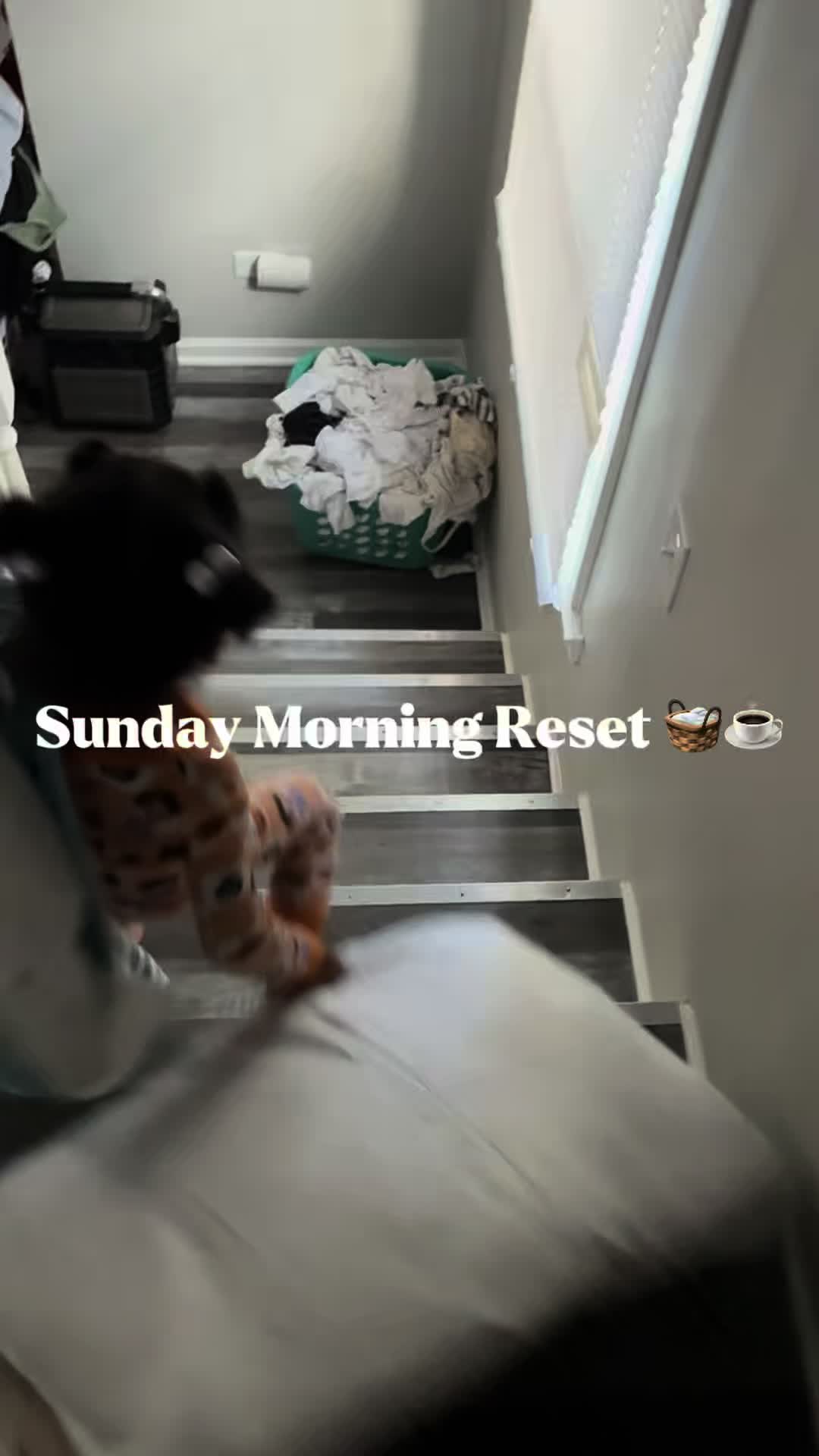 @RealMomChi