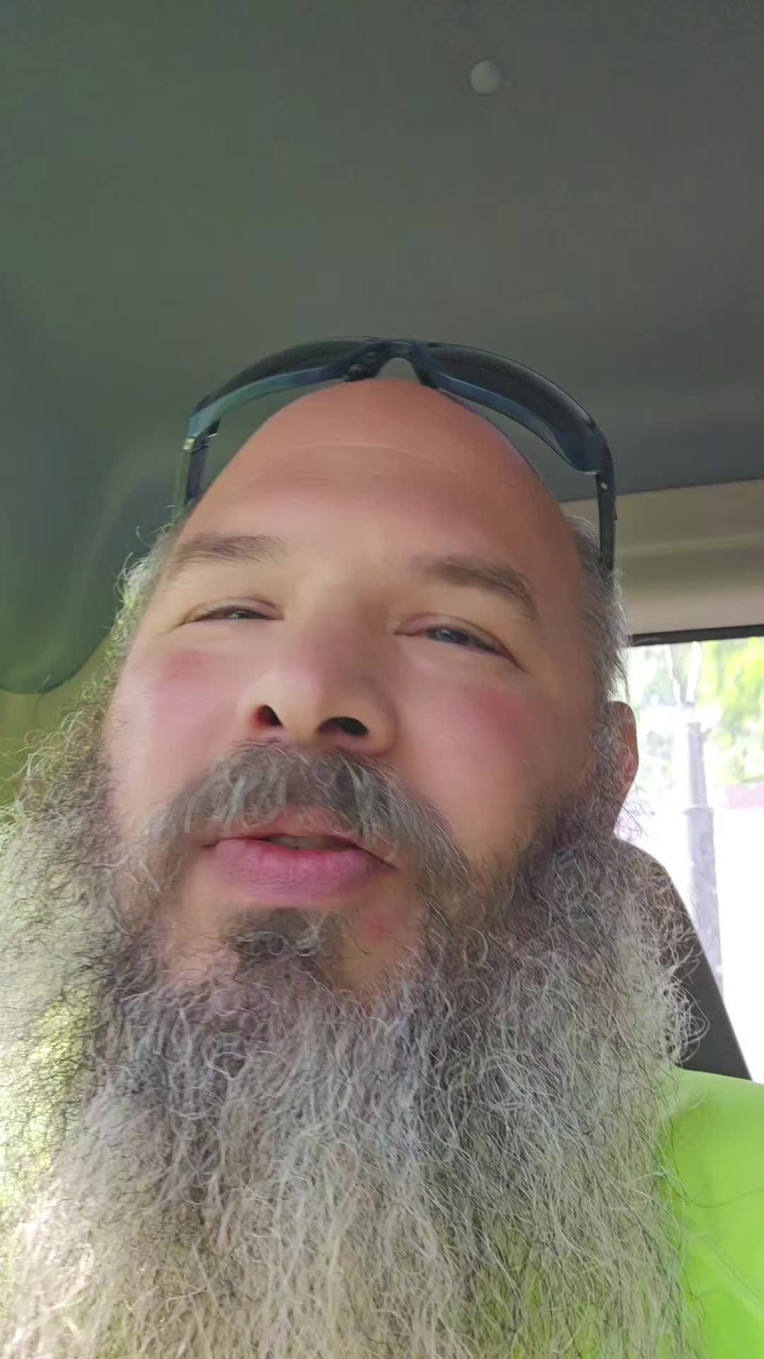 @chinchillagod