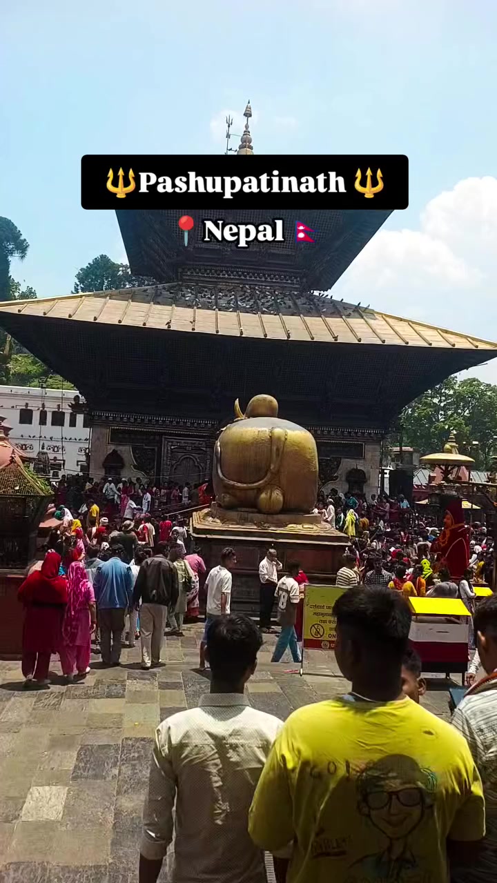 @✈️शशिकान्त चौधरी ✈️