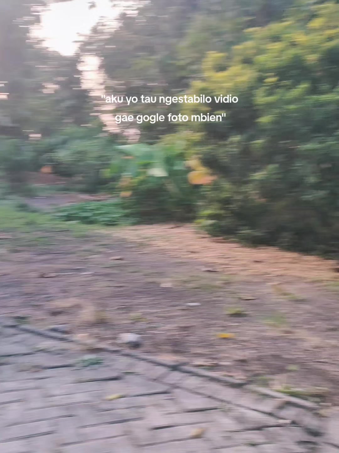 @iya.