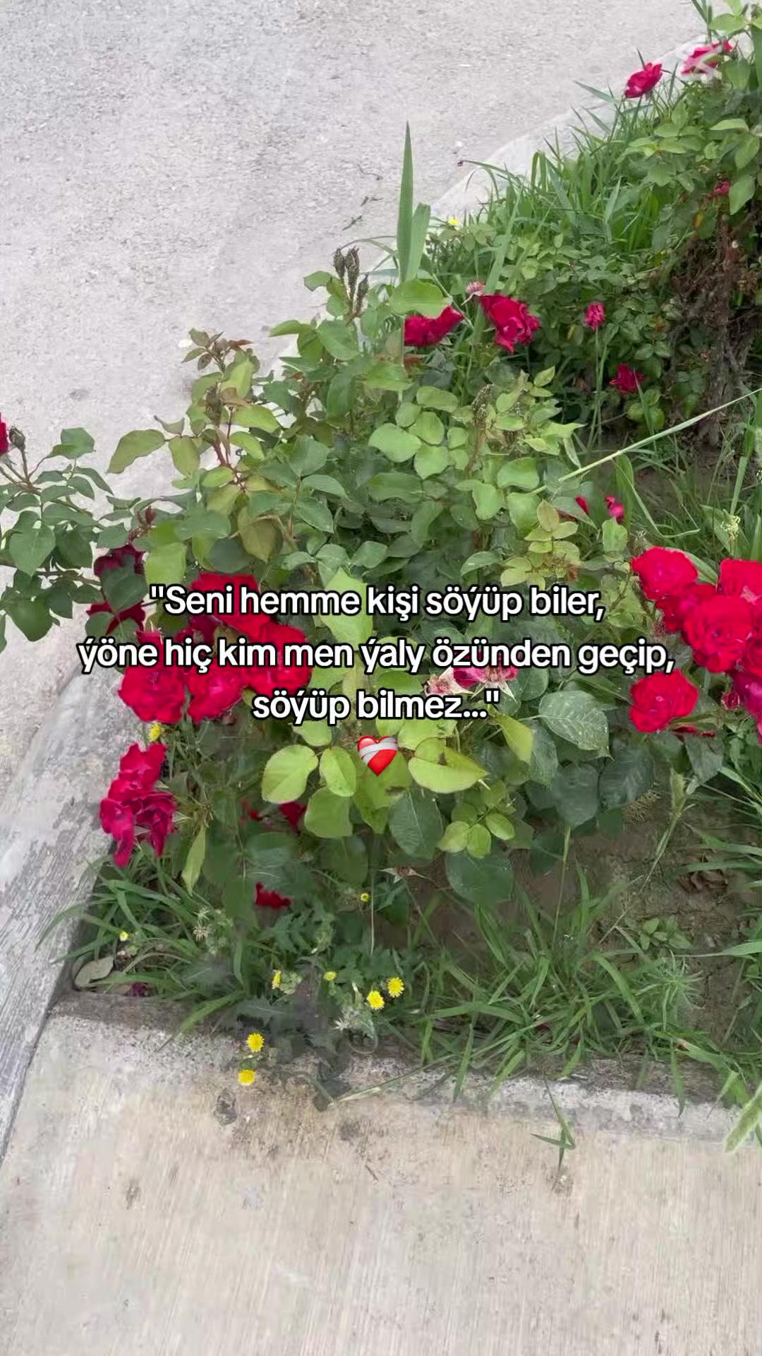 @𝙂𝙖𝙯𝙖𝙠𝙊𝙁𝙁🦈