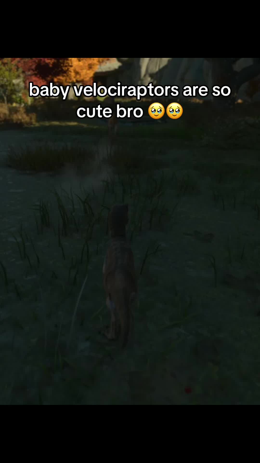 @Joey