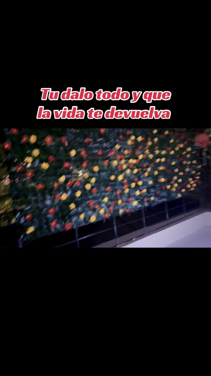 @Realidades ✏️🍎