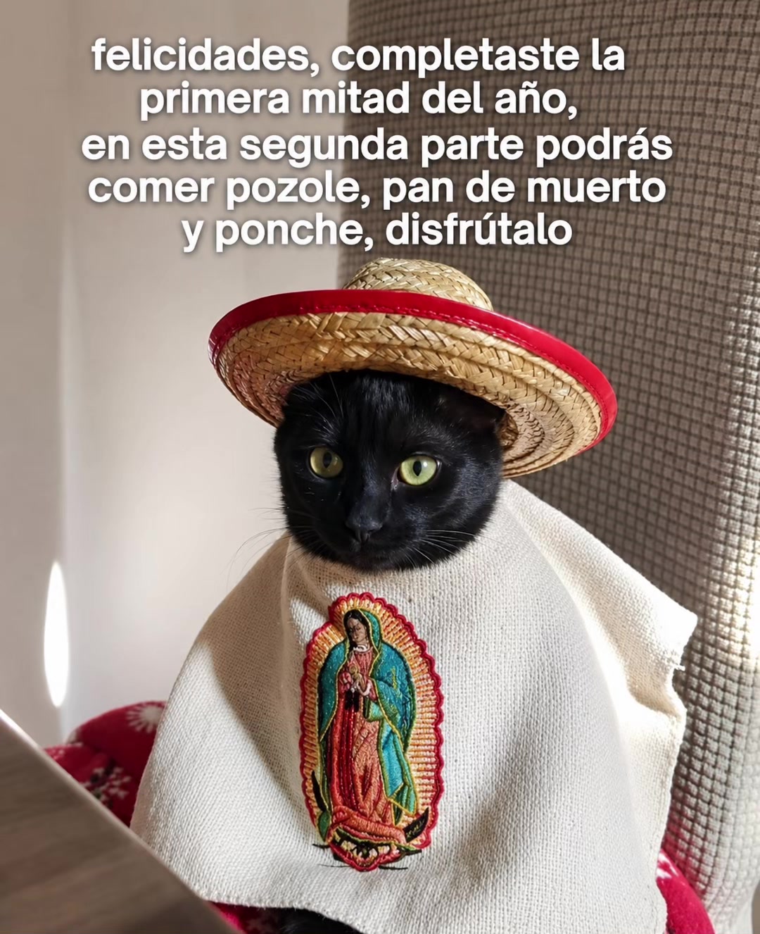 @౿ᥣꪱᜒ ⚜️