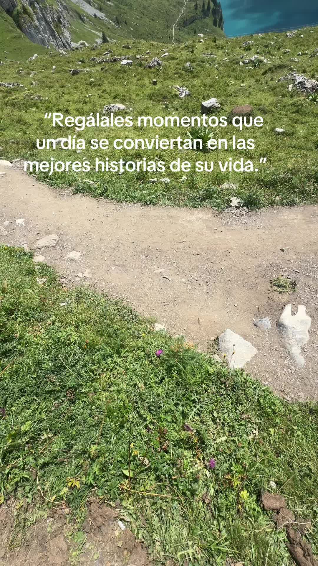 @Arnaldo Miguel Canal