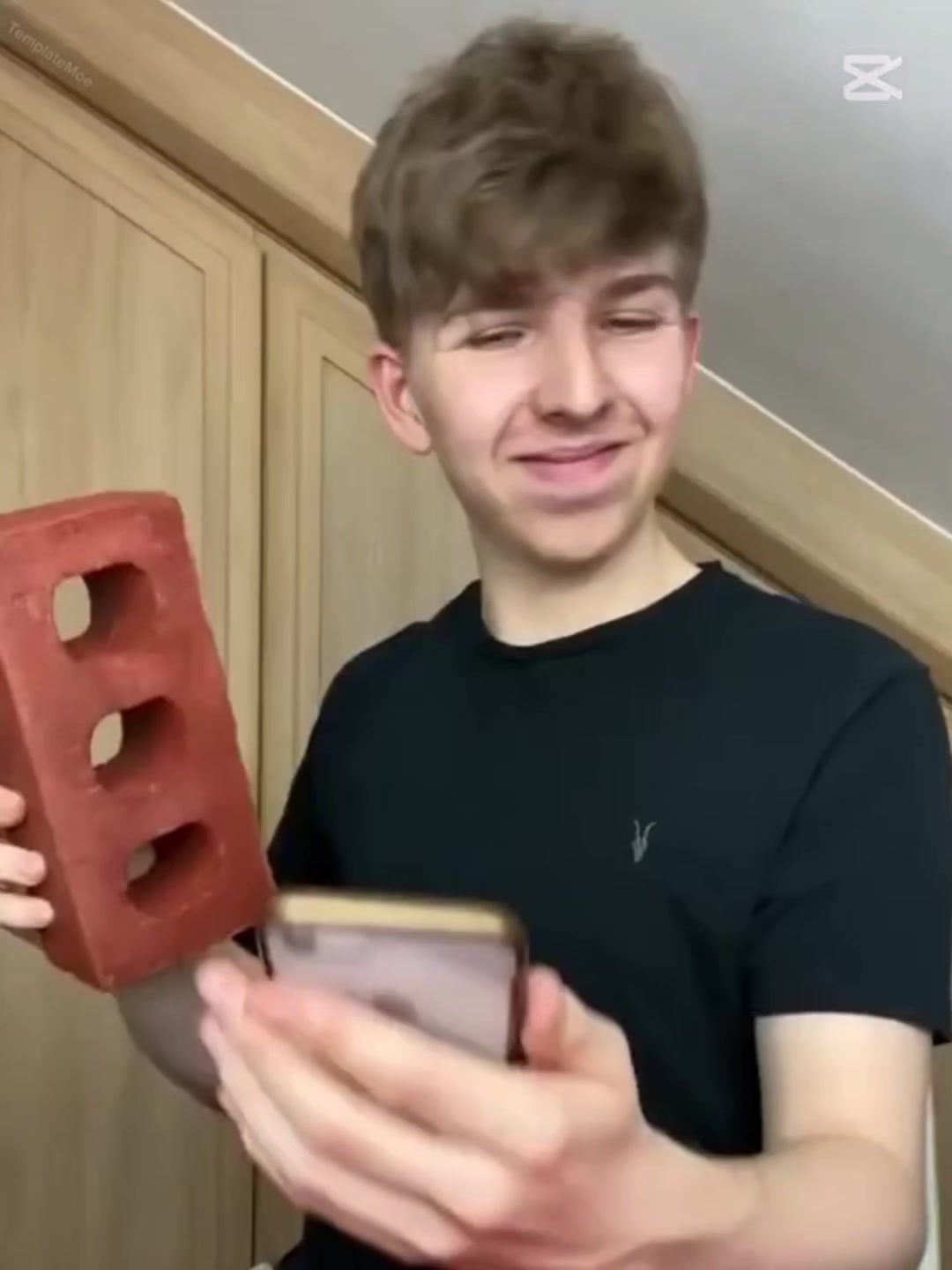 @nikatfropeto