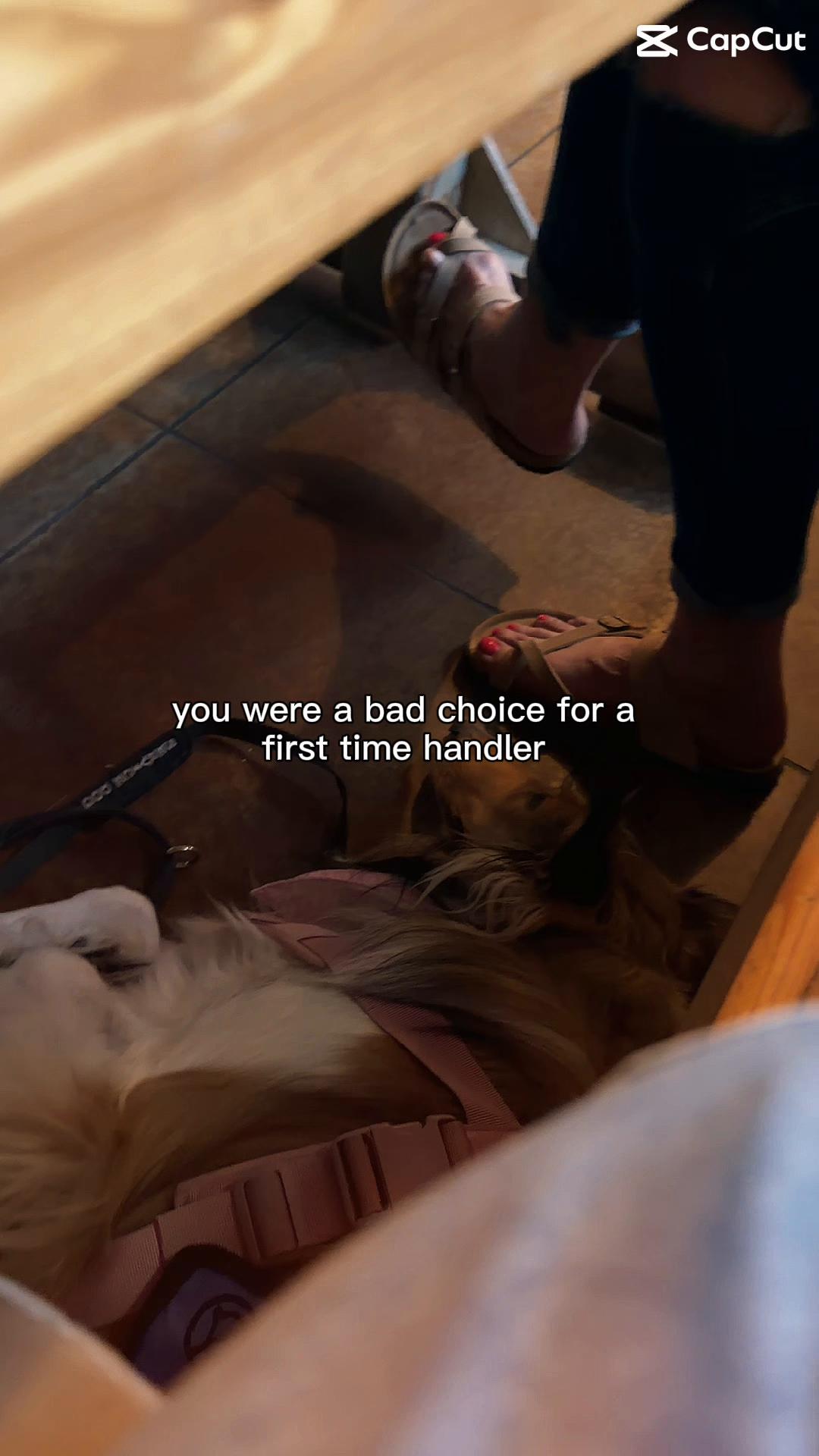 @liz and Alaska
