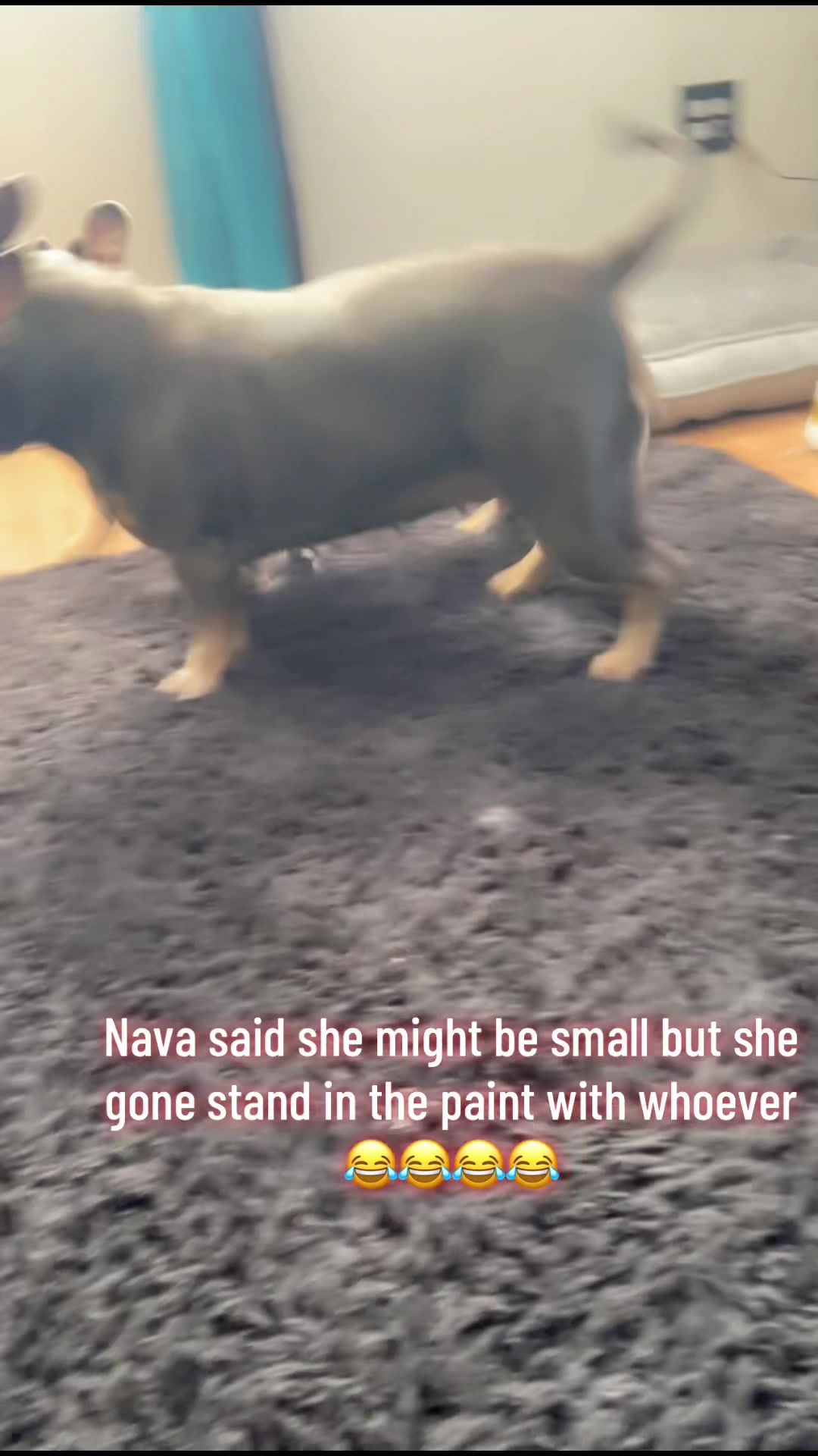 @gardnerkennel08