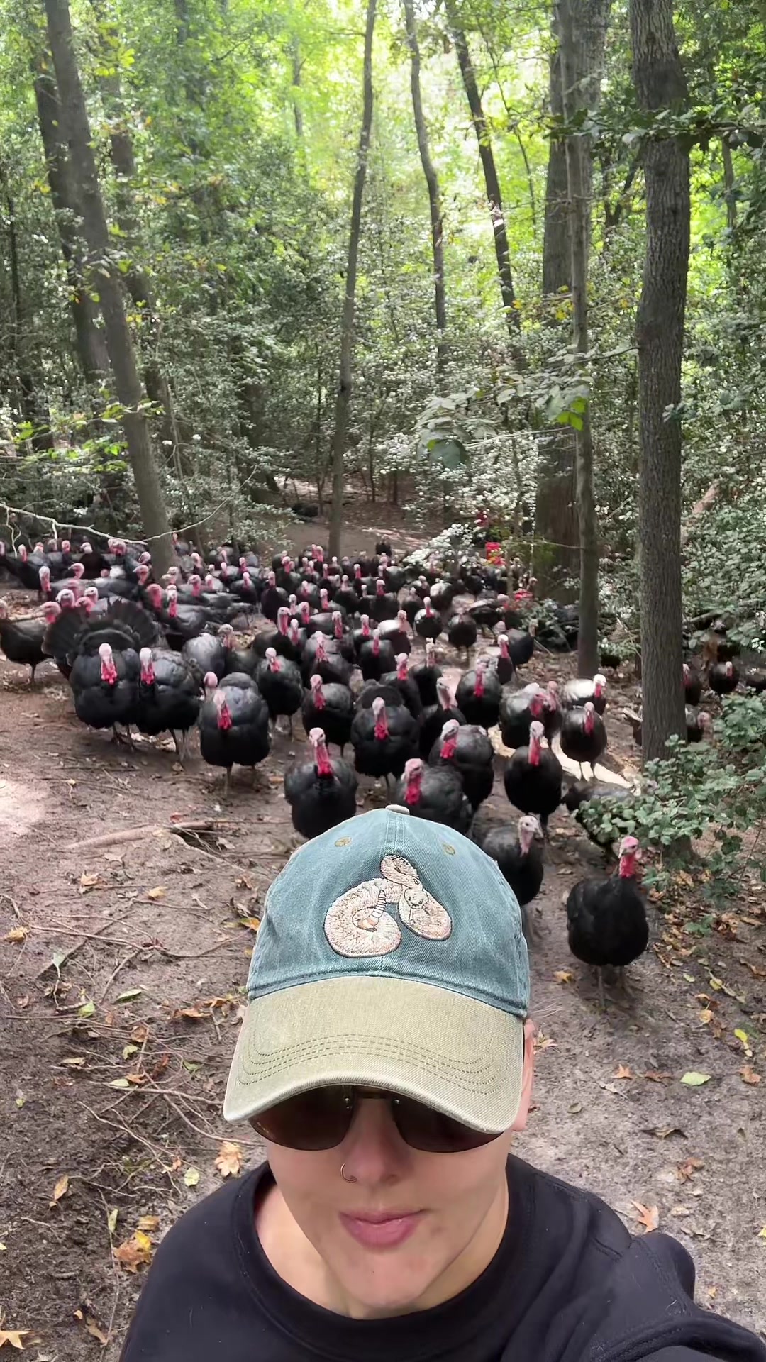 @farmerandtheharpiist