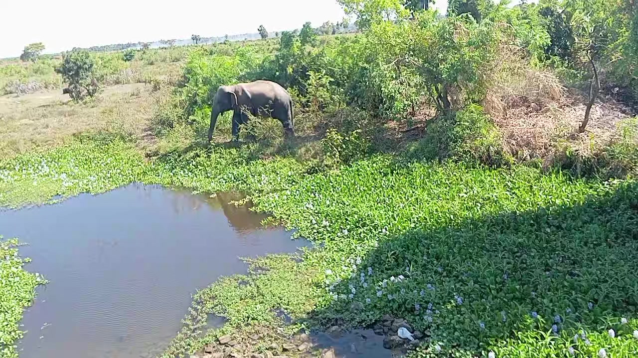 @காடேரி அம்மாள்  துண சஞ்சய்