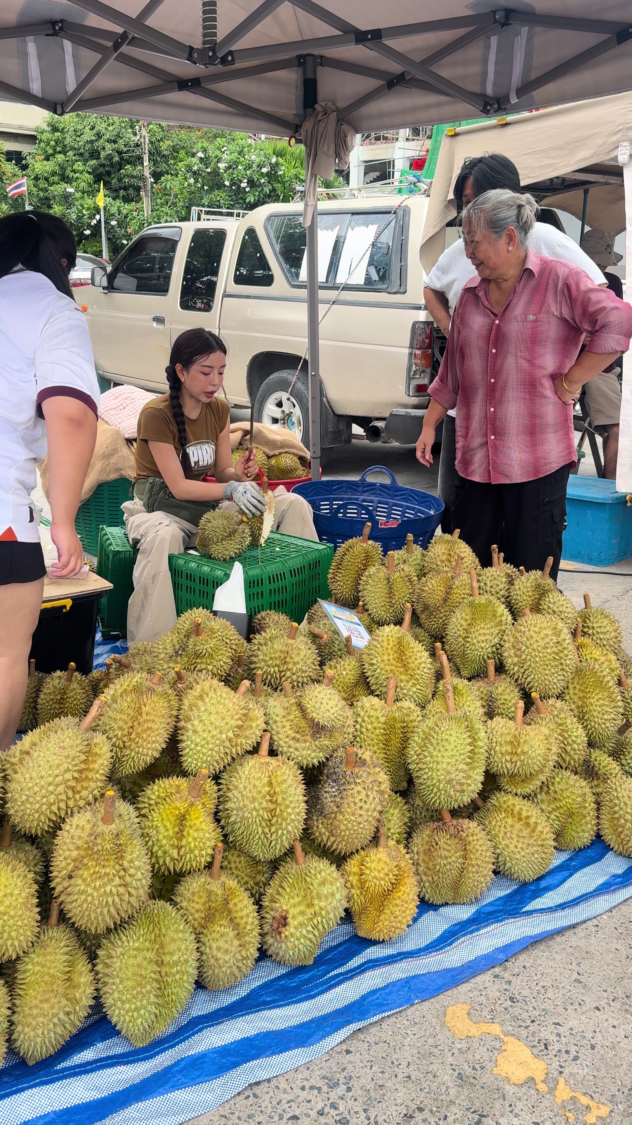 @นก จะไม่นก