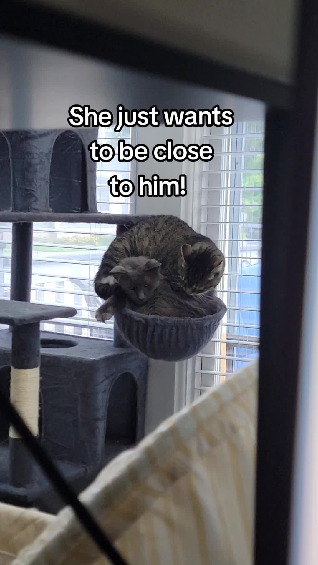 @CatCraze