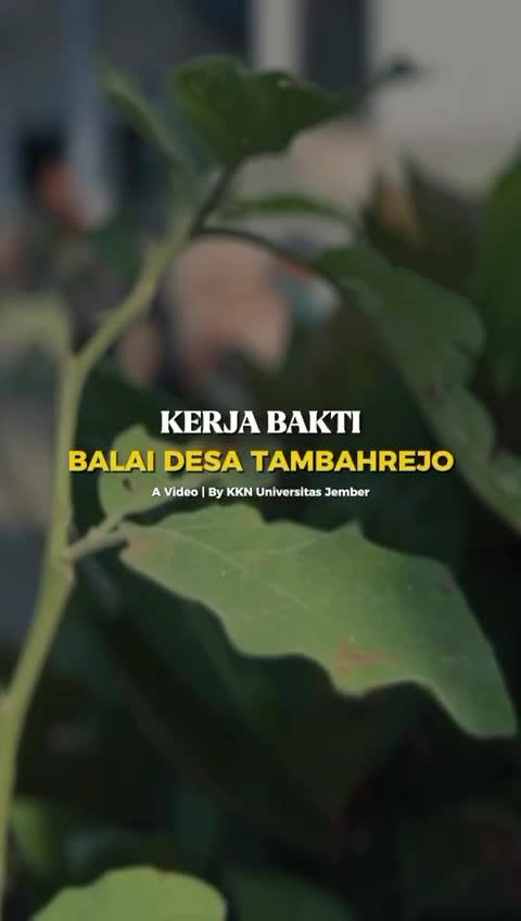 @Desaa Tambahrejo