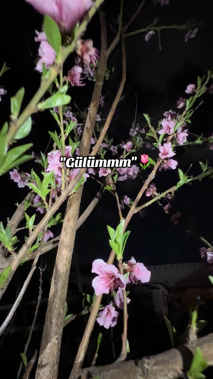 @๐๐ท๐ฎ๐ณ๐ช๐ท.๐
