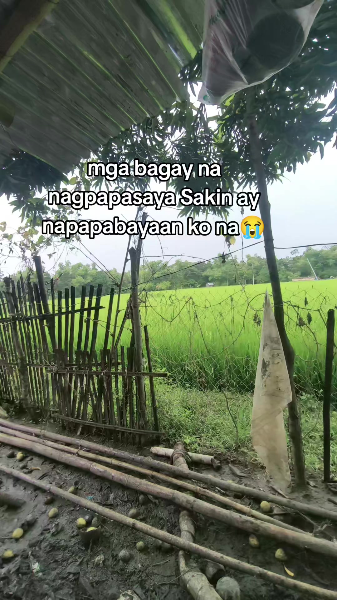 @Boga King Vlogs